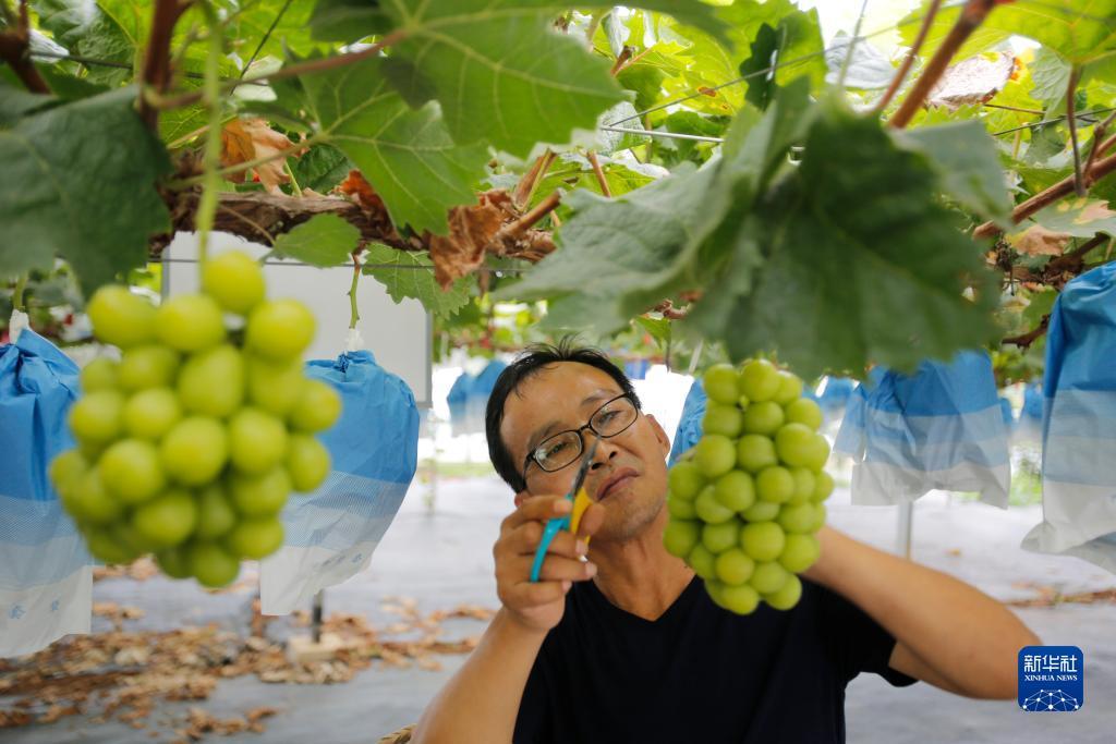 永利真人正网